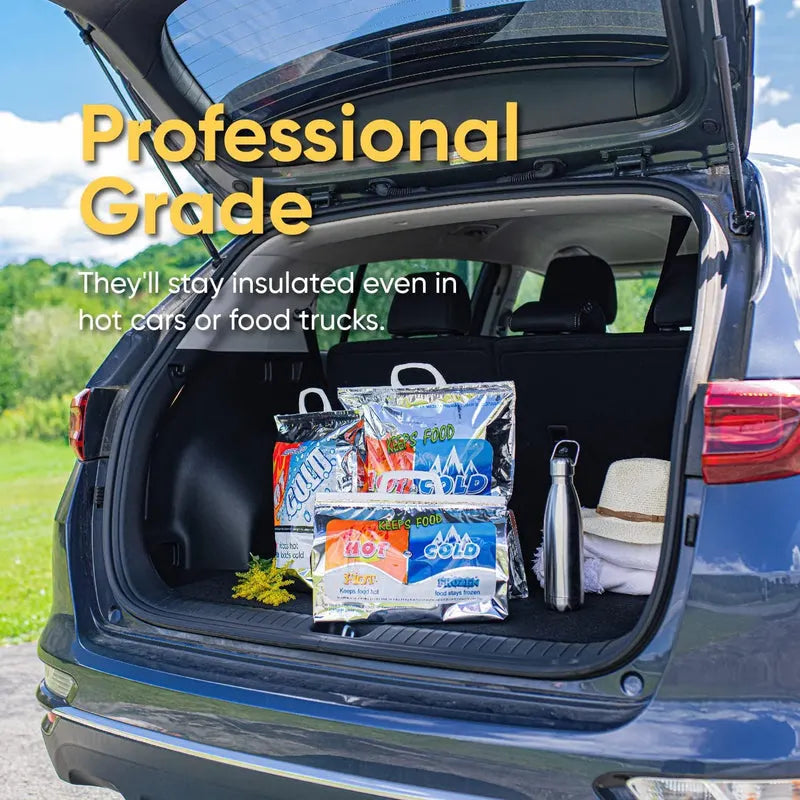 Hot and Cold Insulated Bags for Food Delivery
